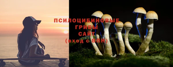 тгк Алзамай
