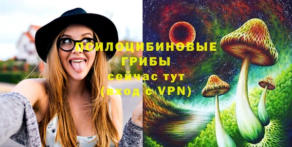 тгк Алзамай