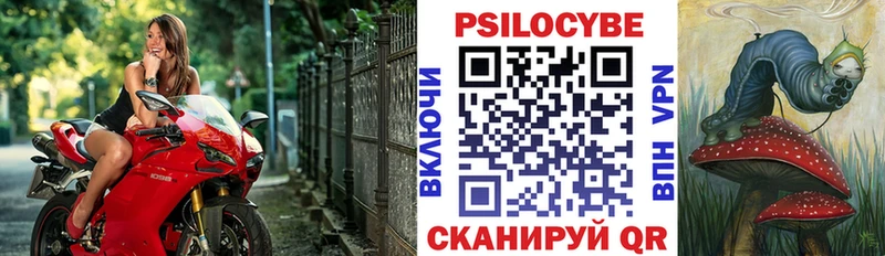 Псилоцибиновые грибы прущие грибы  Жирновск 