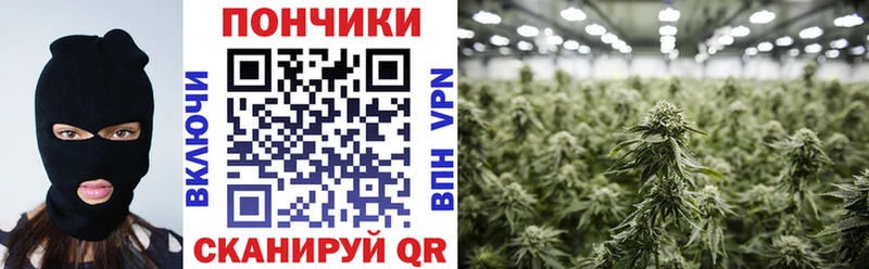 Бошки Шишки VHQ цены Жирновск